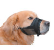 Muzzle Dog 